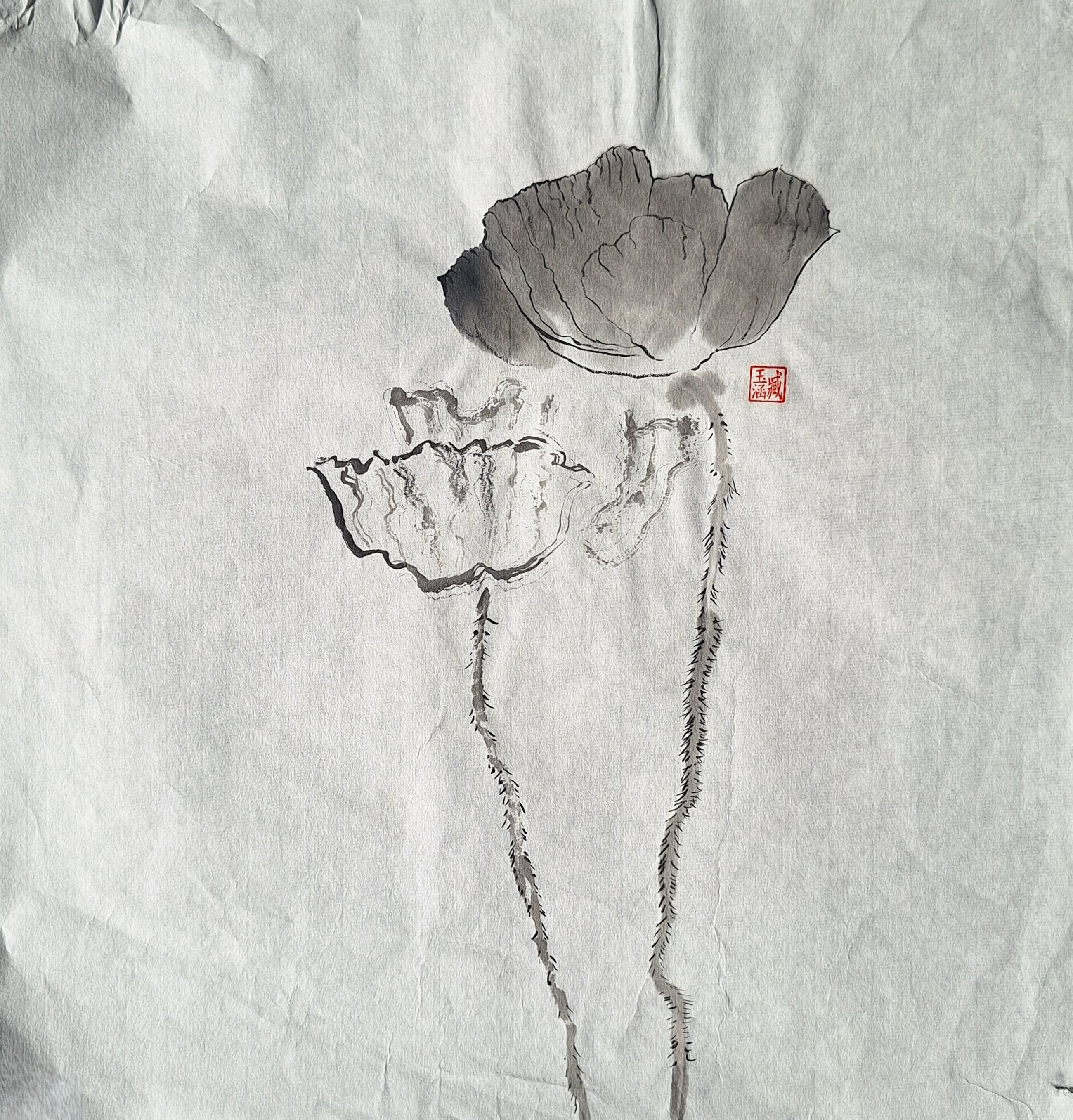 Chinese Ink Painting 'Poppies 6' - Origional Art Work