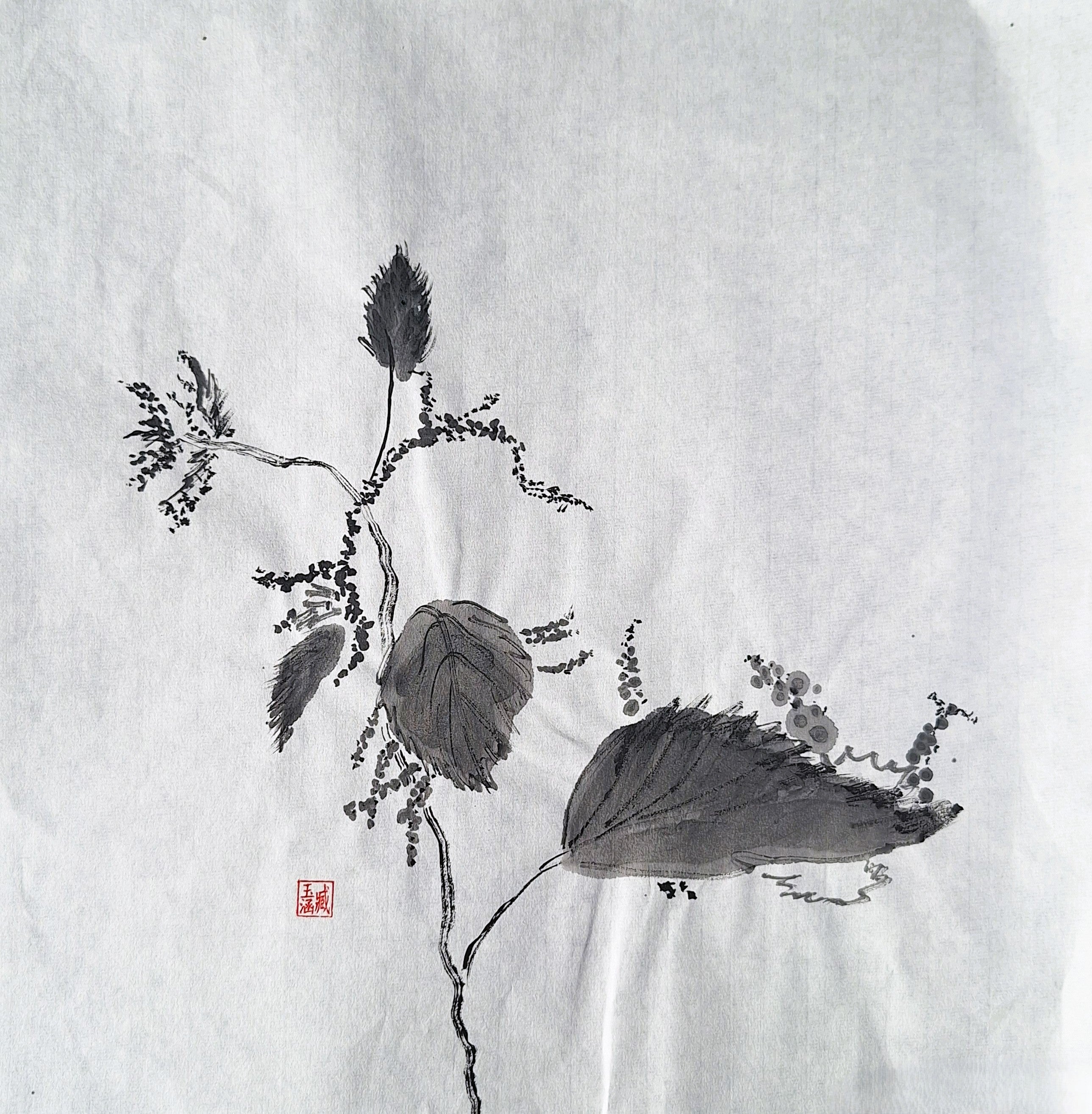 Chinese Ink Painting 'Meadowsweet 1' - Origional Art Work
