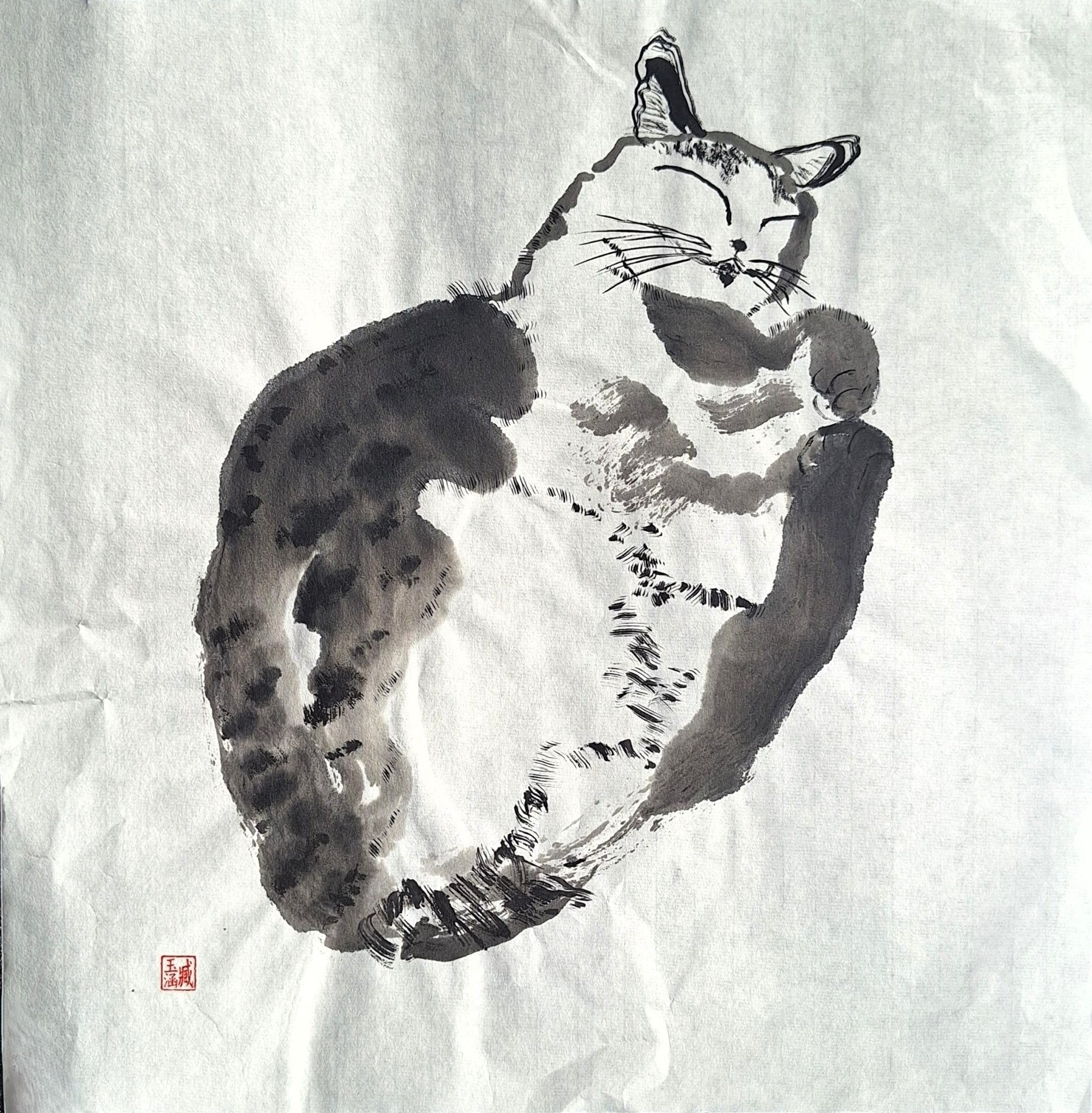 Chinese Ink Painting 'Cat 5' - Origional Art Work - Saw Framed