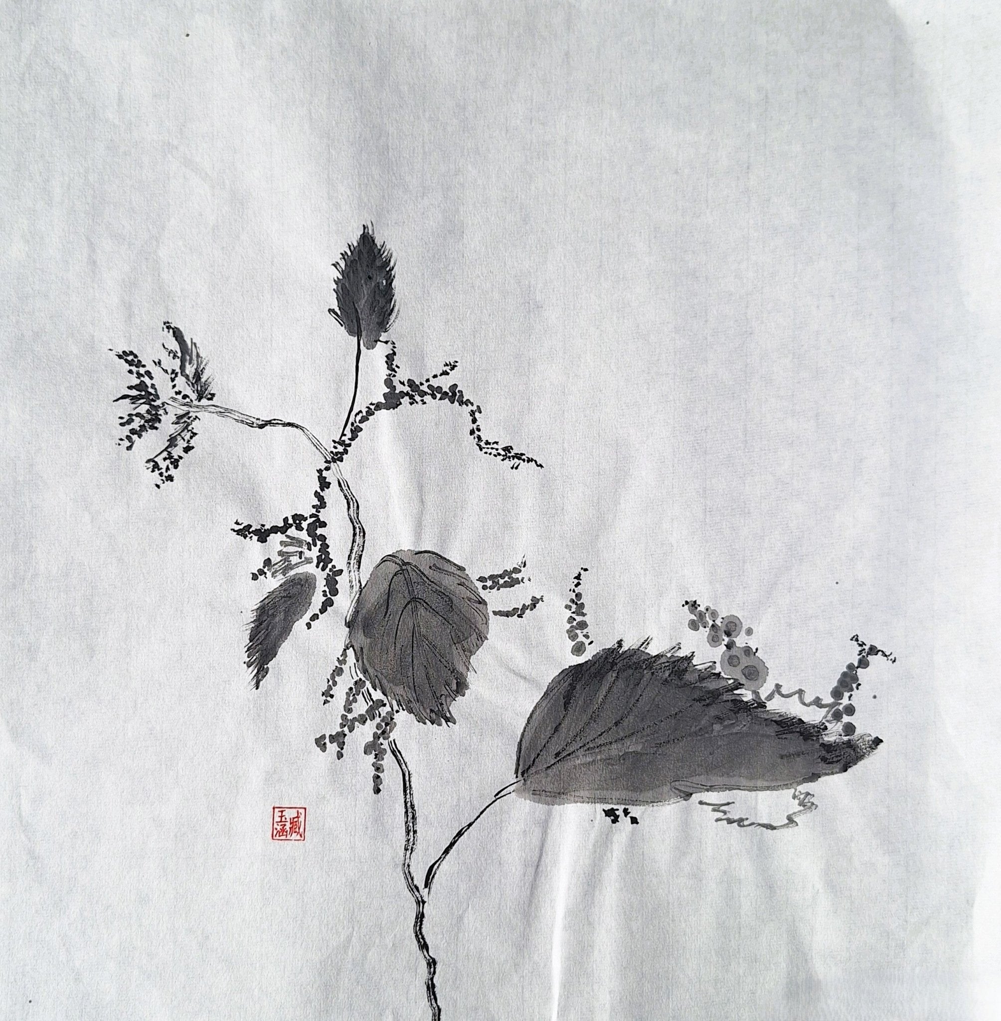 Chinese Ink Painting 'Meadowsweet 1' - Origional Art Work - Saw Framed