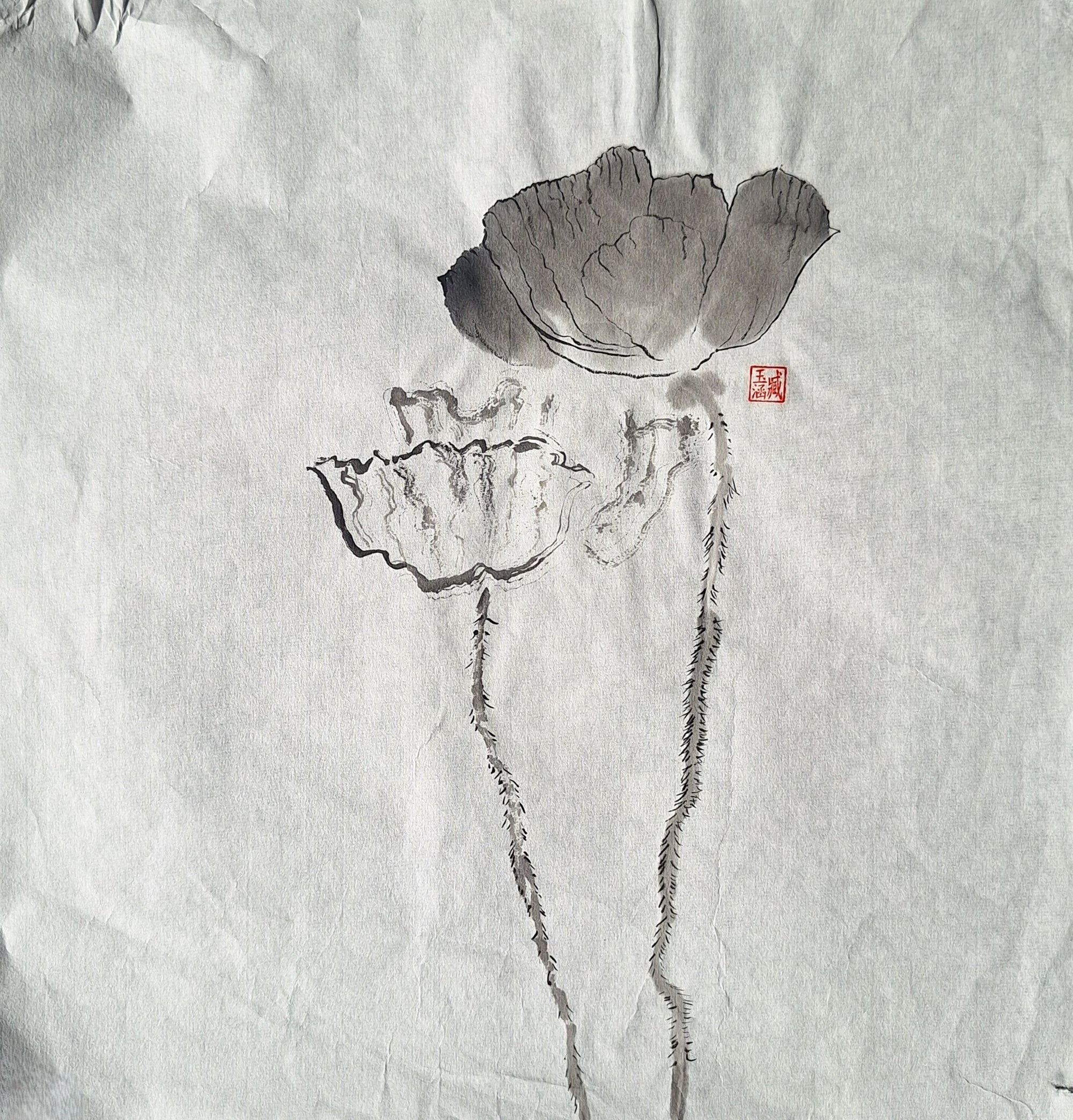 Chinese Ink Painting 'Poppies 6' - Origional Art Work