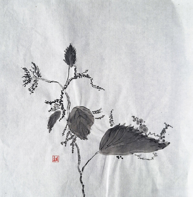 Chinese Ink Painting 'Meadowsweet 1' - Origional Art Work