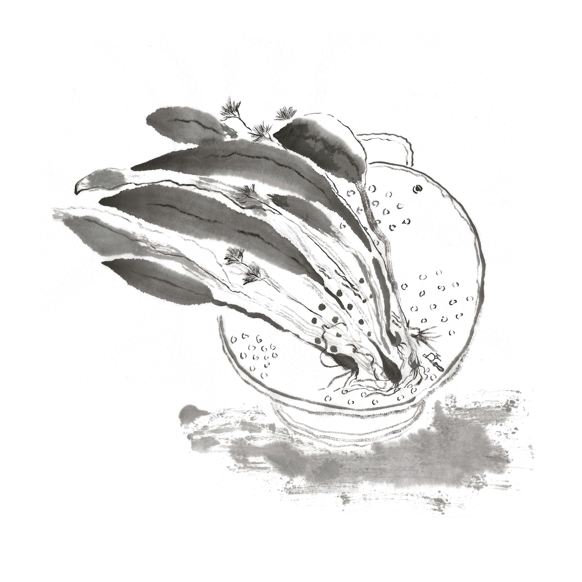 Limited Edition Prints - Making Home