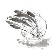 Limited Edition Prints - Making Home