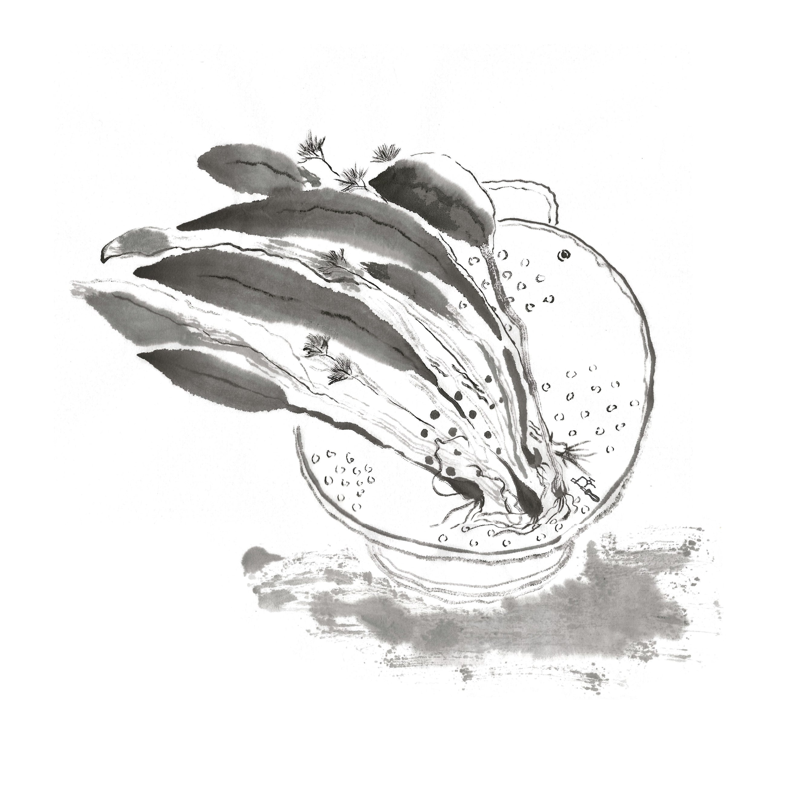 Limited Edition Prints - Making Home