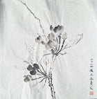 Chinese Ink Painting 'Apple Blossom 1' - Origional Art Work - Saw Framed