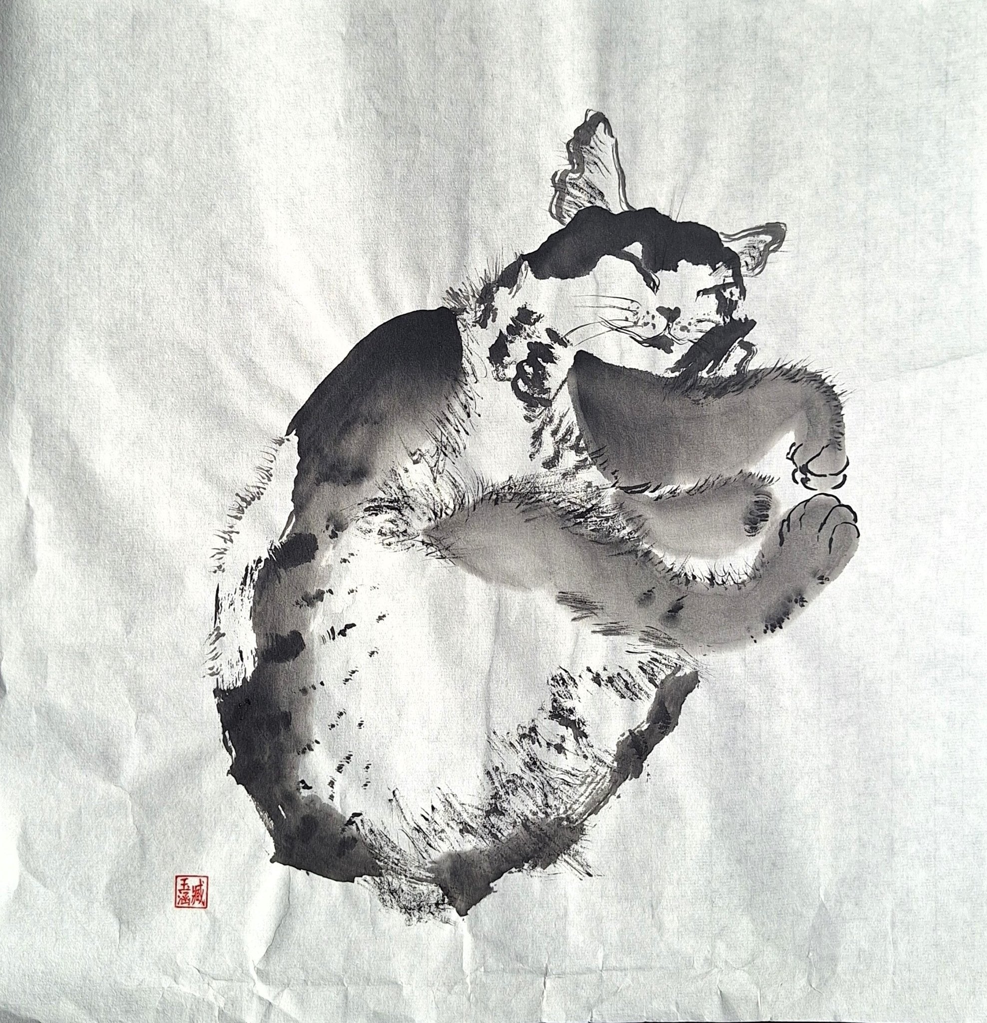 Chinese Ink Painting 'Cat 4' - Origional Art Work - Saw Framed