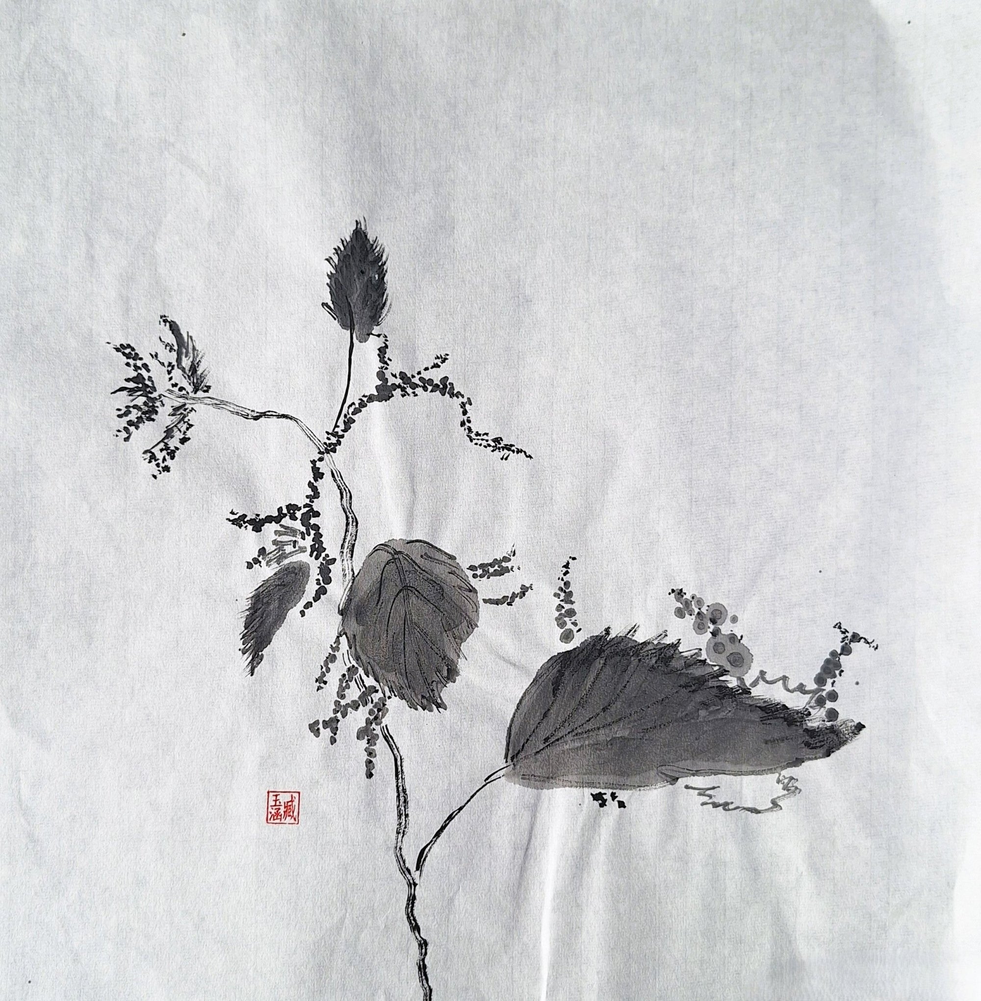 Chinese Ink Painting 'Meadowsweet 1' - Origional Art Work - Saw Framed