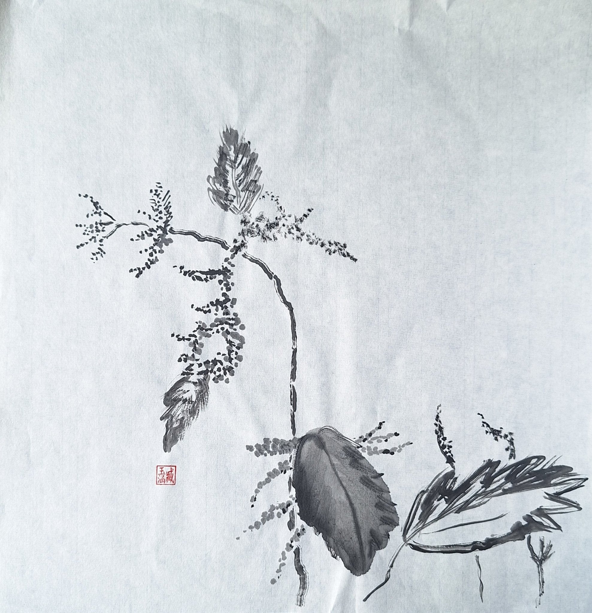 Chinese Ink Painting 'Meadowsweet 2' - Origional Art Work - Saw Framed