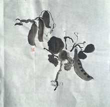 Chinese Ink Painting 'Peas' - Origional Art Work - Saw Framed