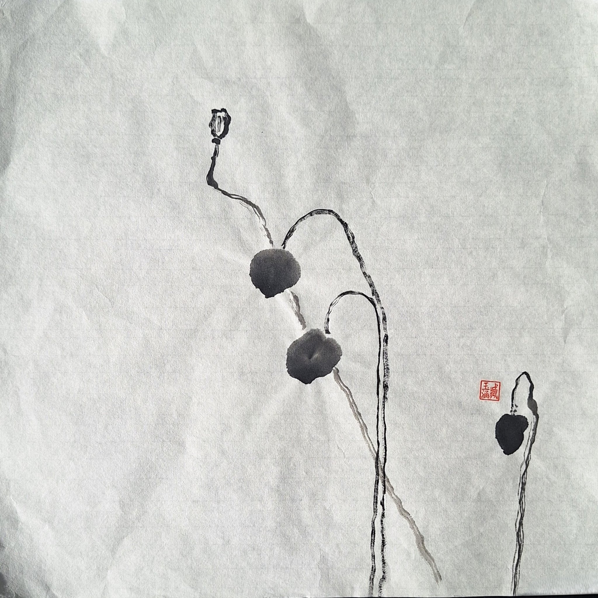 Chinese Ink Painting 'Poppies 4' - Origional Art Work - Saw Framed