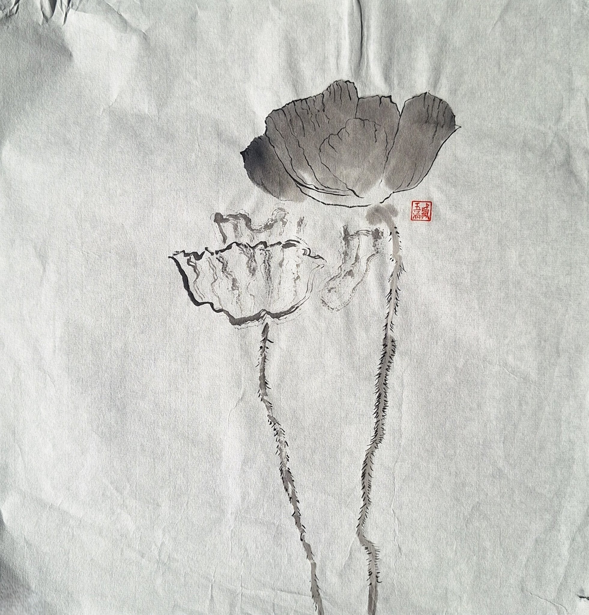 Chinese Ink Painting 'Poppies 6' - Origional Art Work - Saw Framed
