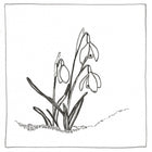 Greeting Card - Any 3 for €10 - Saw Framed