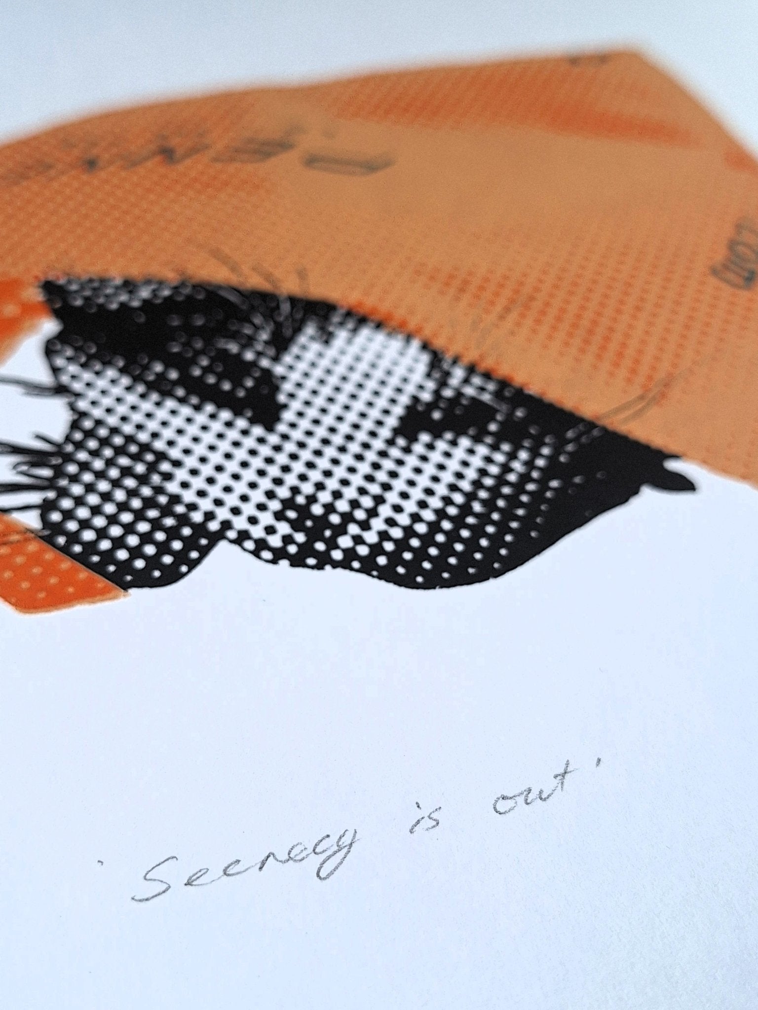 'Secrecy is out' Screenrprint - Limited Edition of 6 - Saw Framed