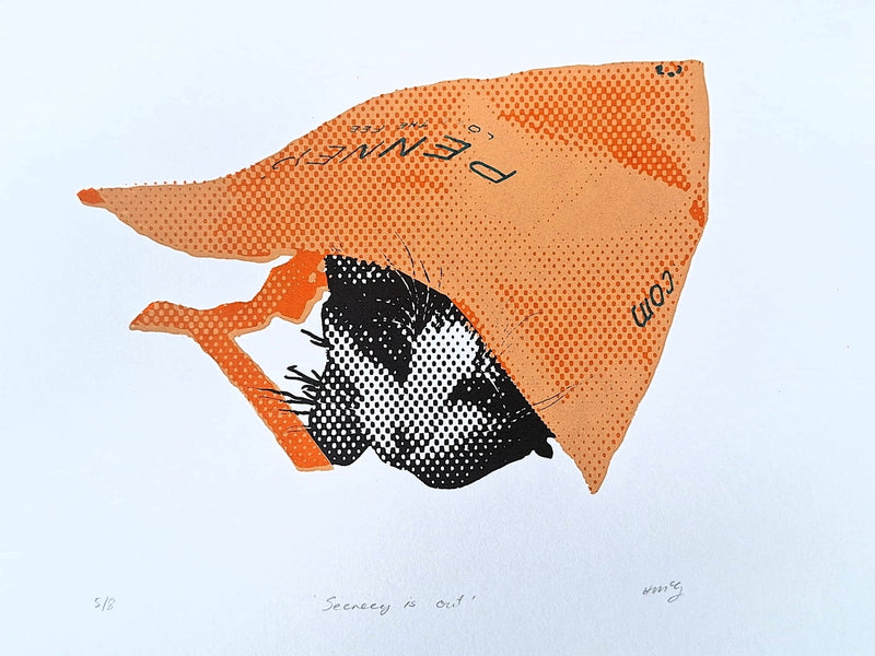 'Secrecy is out' Screenrprint - Limited Edition of 6 - Saw Framed